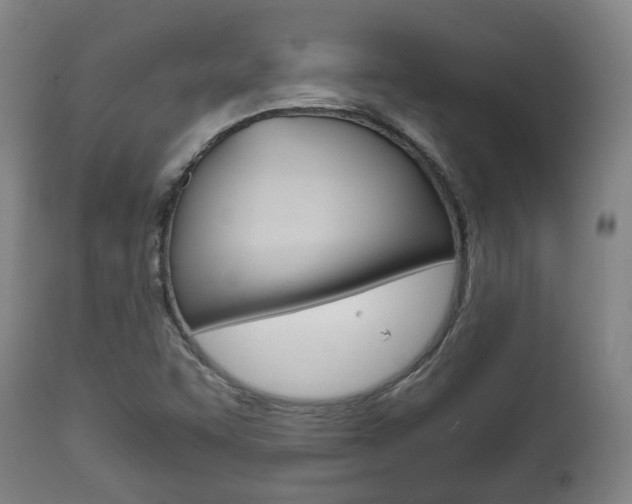X0000111781455200907230938