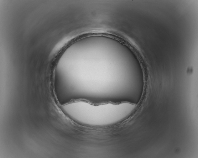 X0000111781456200907230938