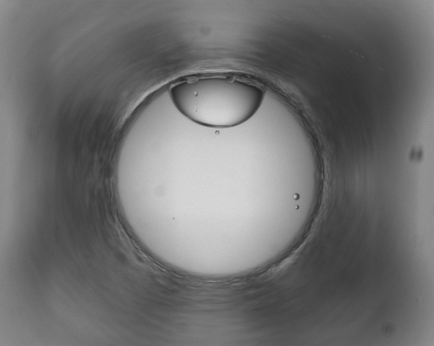 X0000111781457200907230938