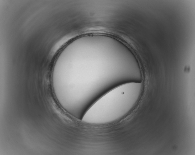 X0000111781458200907230938