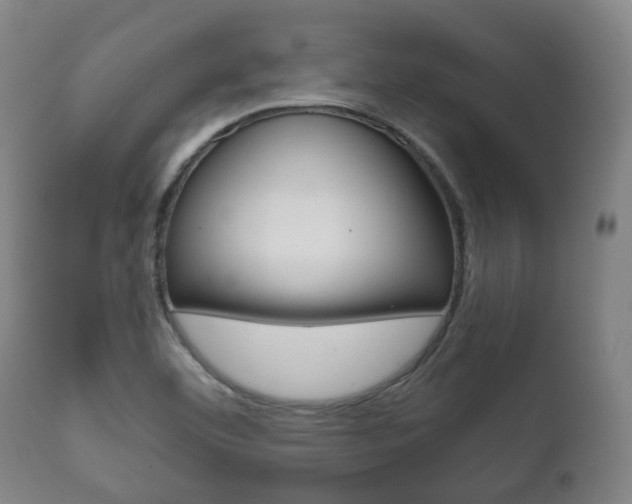 X0000111781460200907230938