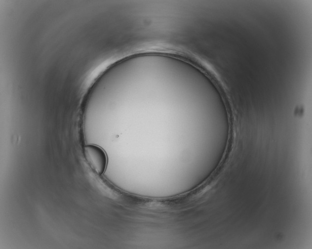 X0000111781463200907230938