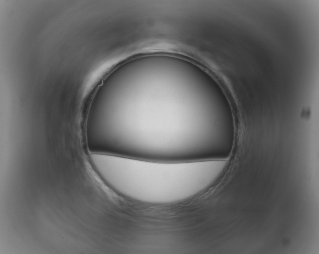 X0000111781464200907230938