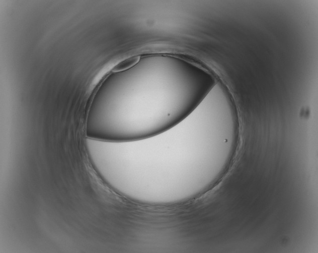 X0000111781465200907230938
