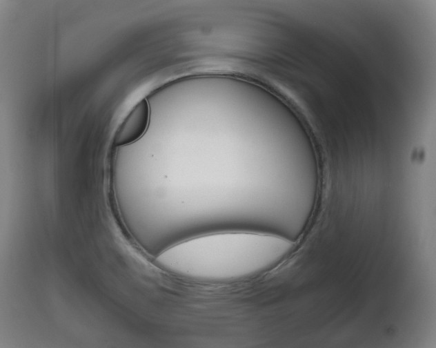 X0000111781467200907230938