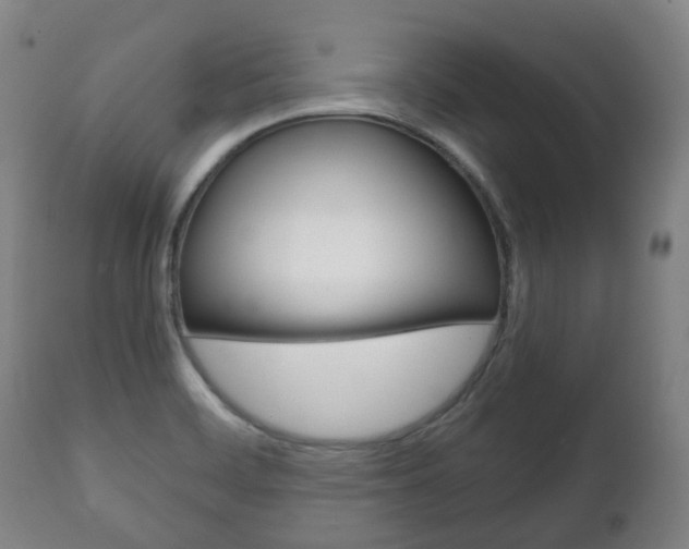 X0000111781468200907230938