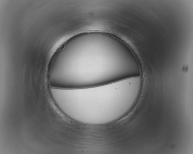 X0000111781469200907230938