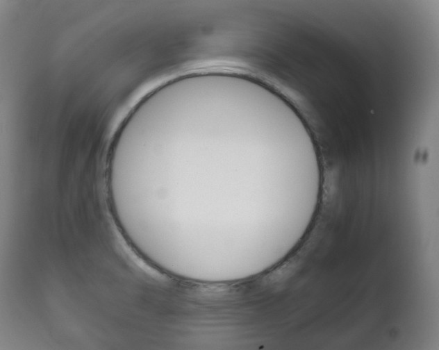 X0000111781470200907230938