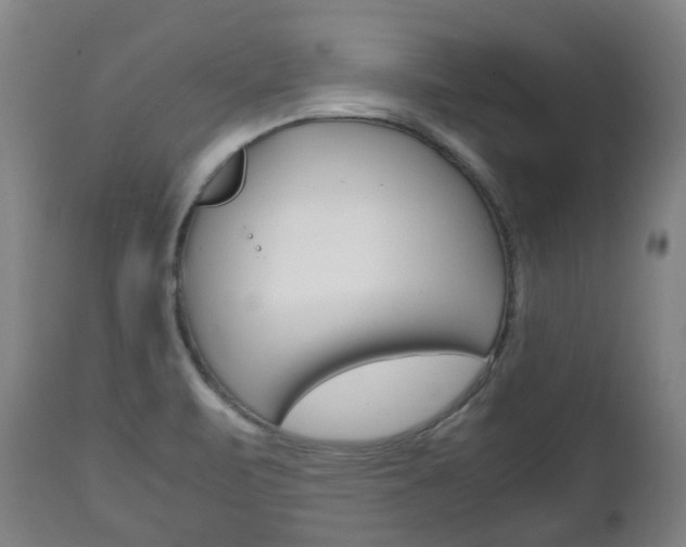 X0000111781471200907230938