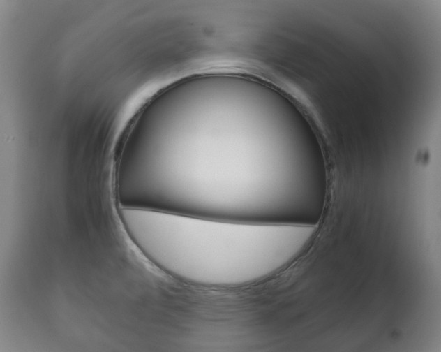 X0000111781472200907230938