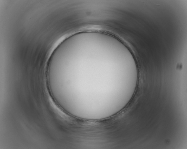 X0000111781475200907230938