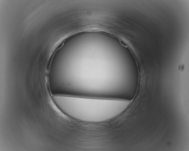 X0000111781476200907230938