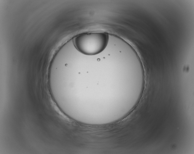 X0000111781477200907230938