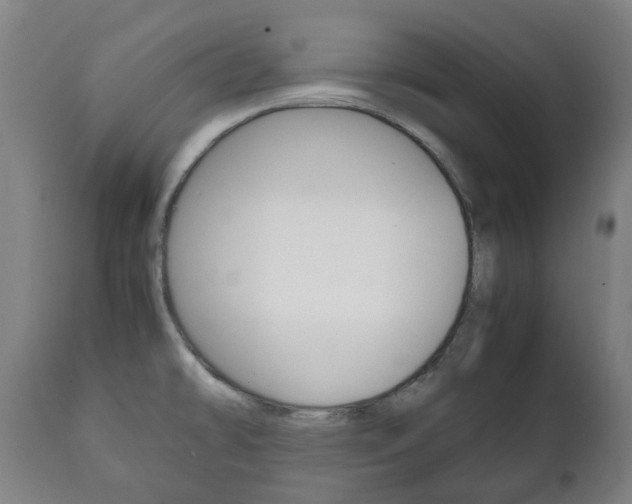X0000111781478200907230938