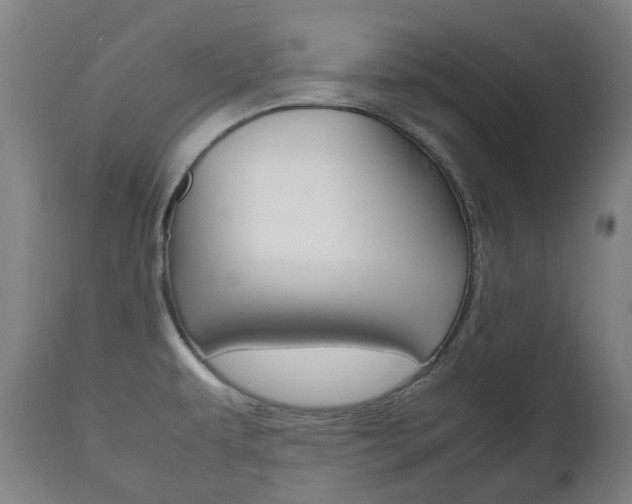 X0000111781479200907230938