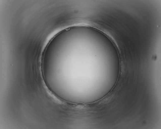 X0000111781480200907230938