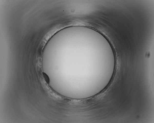 X0000111781481200907230938