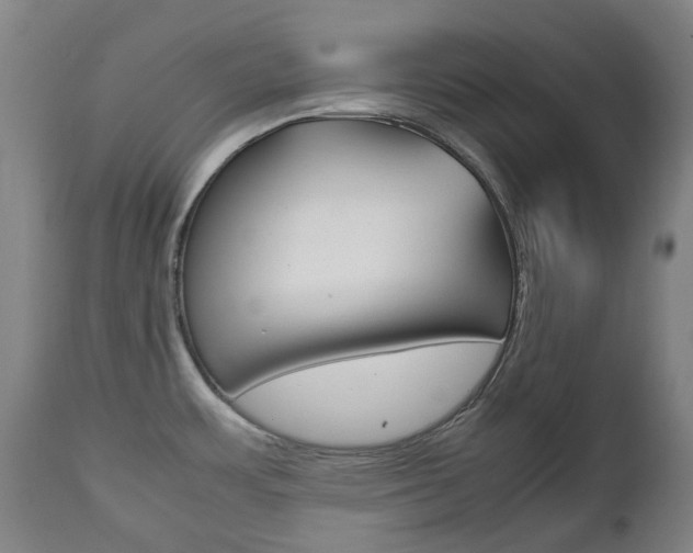 X0000111781483200907230938