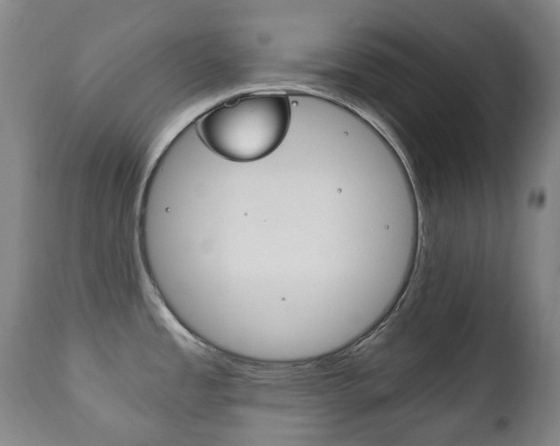 X0000111781485200907230938