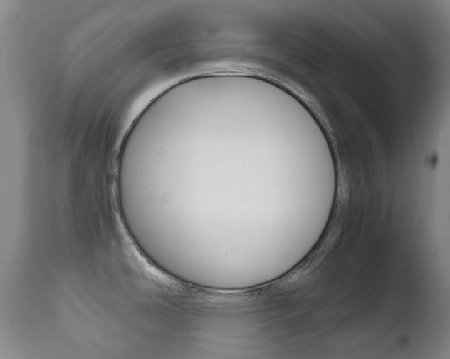 X0000111781486200907230938