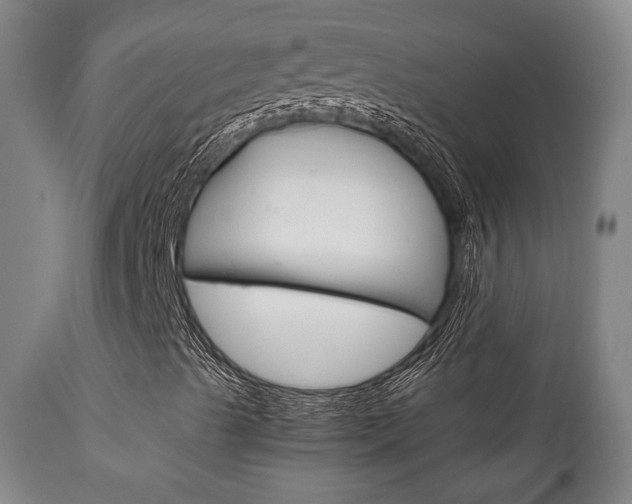 X0000111781489200907230937