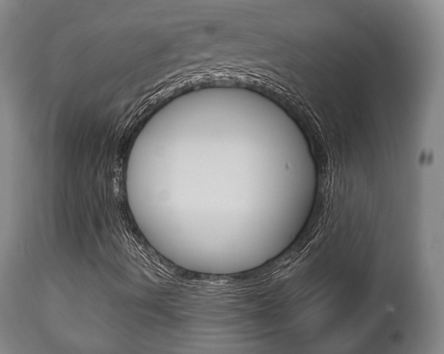 X0000111781490200907230937