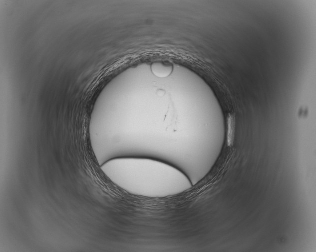 X0000111781491200907230937