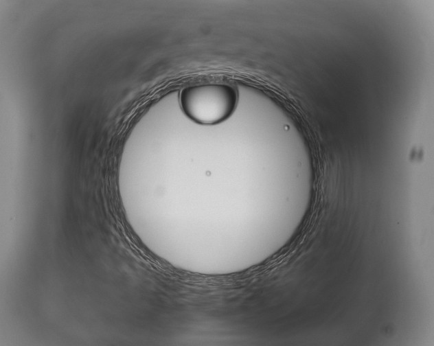 X0000111781493200907230937