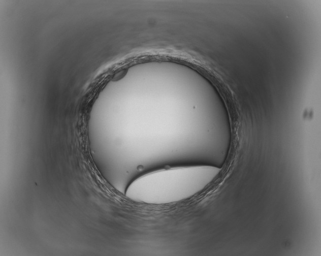 X0000111781494200907230937