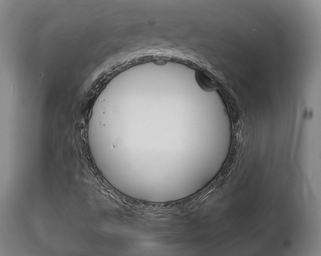 X0000111781495200907230937
