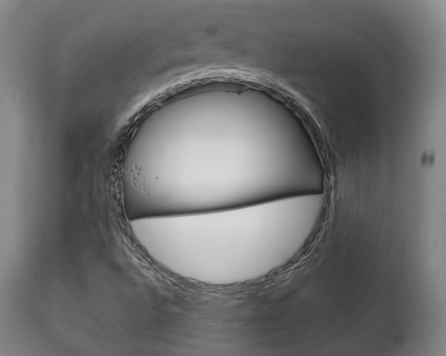 X0000111781496200907230937