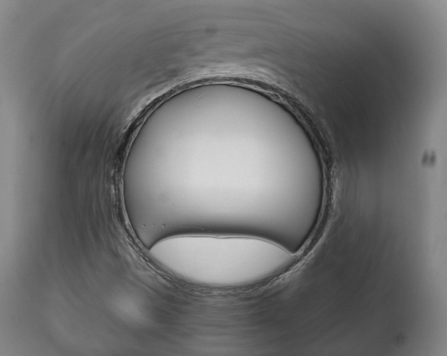 X0000111781497200907230937
