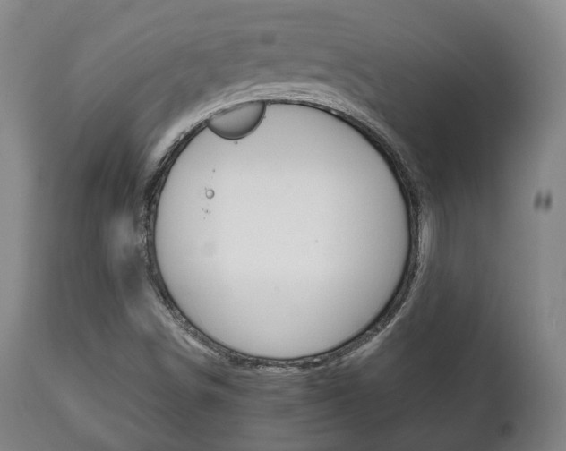 X0000111781498200907230937