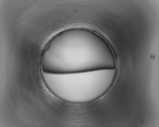 X0000111781500200907230937