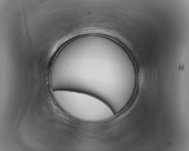 X0000111781501200907230937