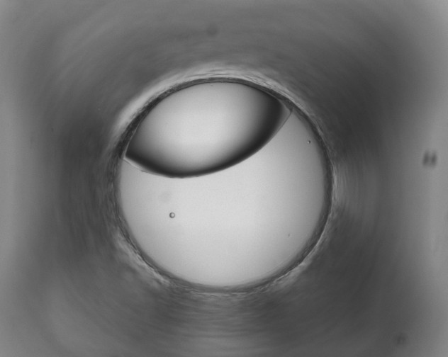 X0000111781502200907230937