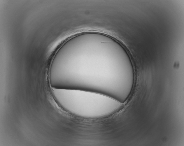X0000111781503200907230937