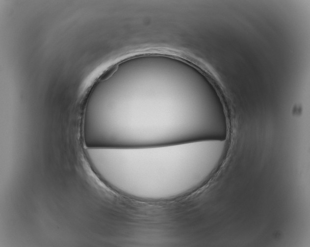 X0000111781504200907230937