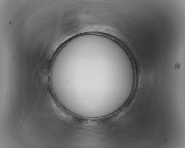X0000111781505200907230937