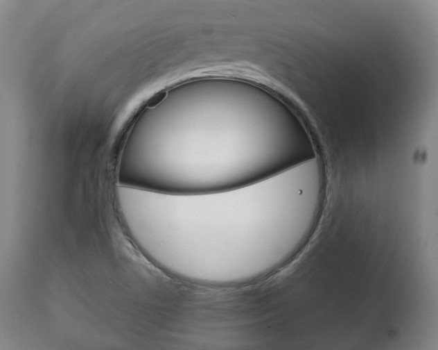 X0000111781506200907230937
