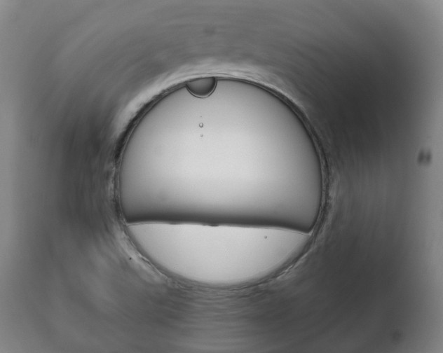 X0000111781507200907230937