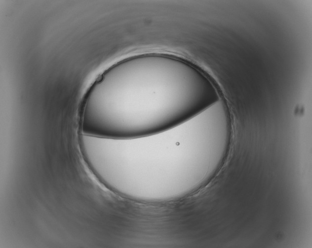 X0000111781508200907230937