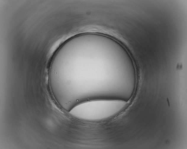 X0000111781509200907230937