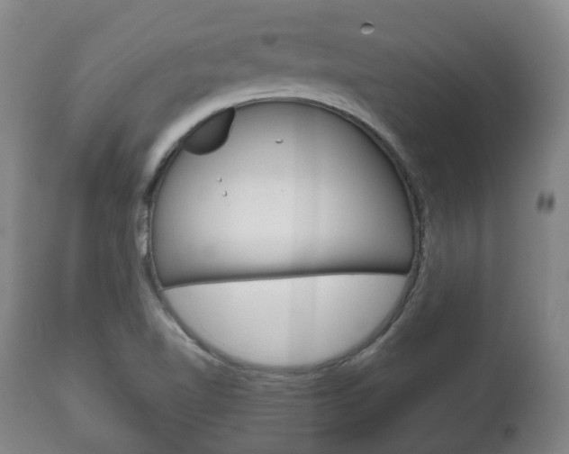 X0000111781510200907230937