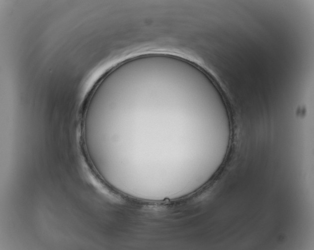 X0000111781511200907230937