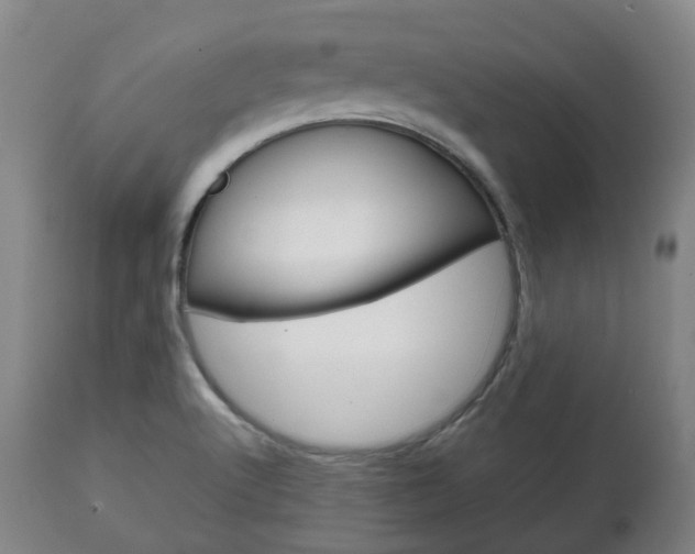 X0000111781512200907230937