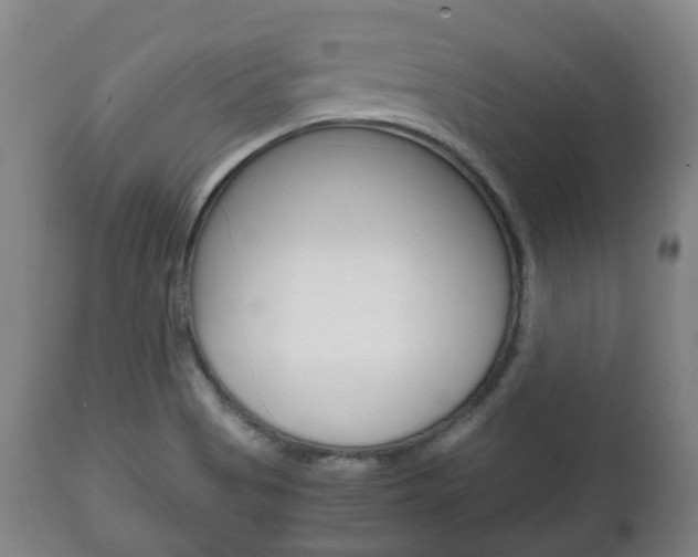 X0000111781513200907230937