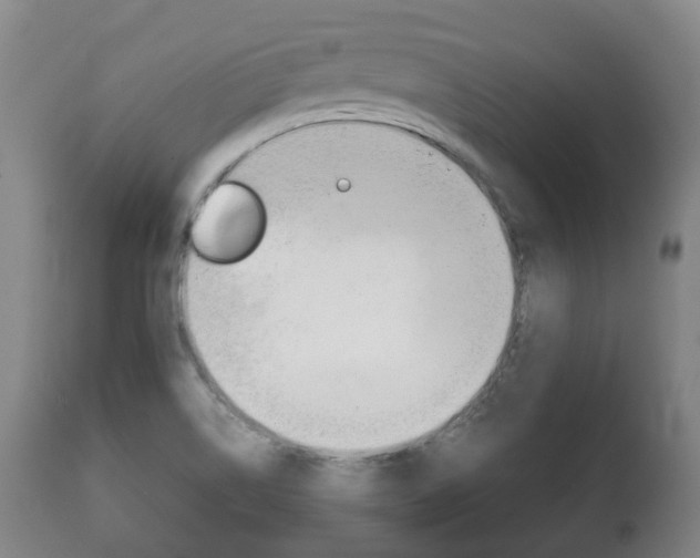 X0000111781514200907230937