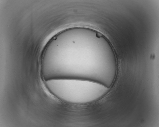 X0000111781515200907230937