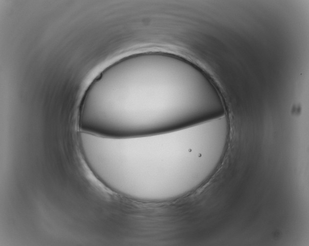 X0000111781516200907230937